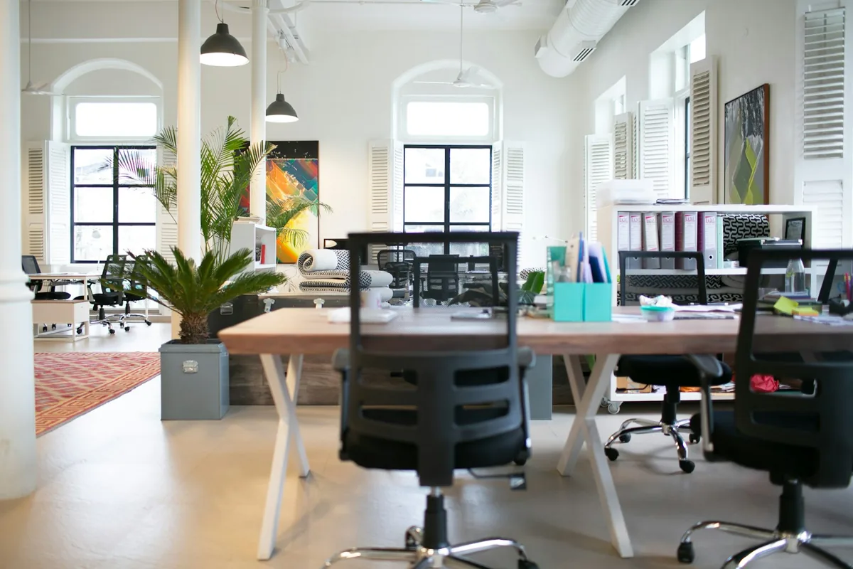 Oficina diáfana y luminosa, con mesas de trabajo, plantas y grandes ventanales.